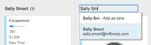 Две полосы для пользователя Sally