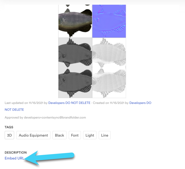 A screenshot showing the Embed URL located below Description. 
