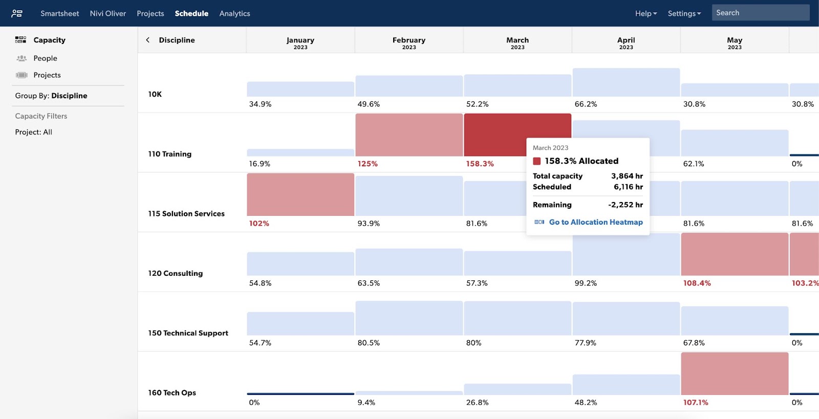 The image shows a month schedule's capacity view.