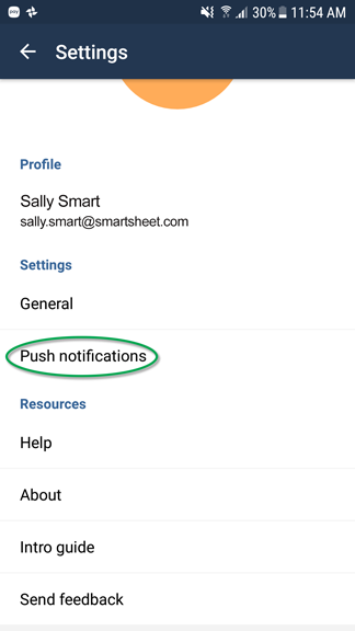 View of the Push notifications option in the Settings window.