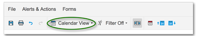 Vista de Calendario en la barra de herramientas