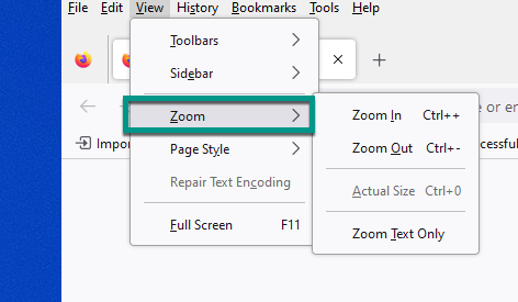 This image shows the firefox zoom buttons. 