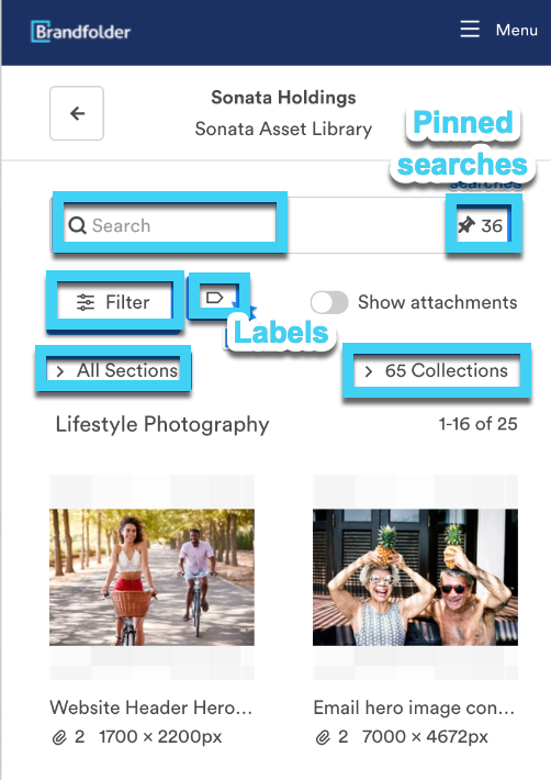 Brandfolder panel navigation showing pinned search, search bar, filters, labels, sections, and collections. 