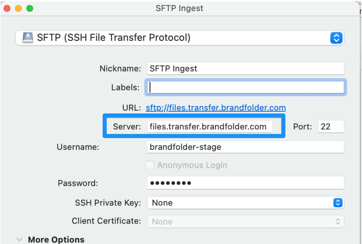 A screnshot of an SFTP ingest, in the middle a box for server is highlighted