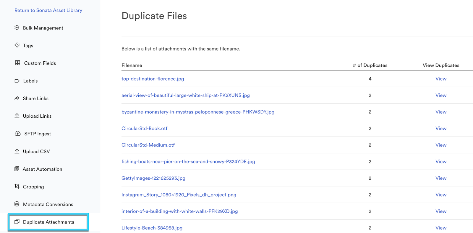 Duplicate files screen within Bulk Management. There is a list of duplicate filenames in the middle and duplicate attachments is highlighted in the left hand navigation.